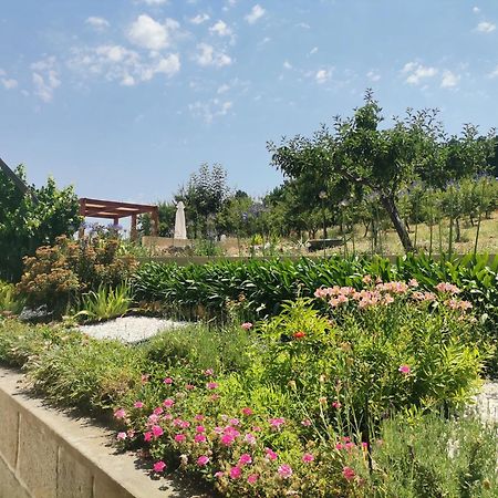 Quinta Do Retiro Pensionat Felgar Exteriör bild