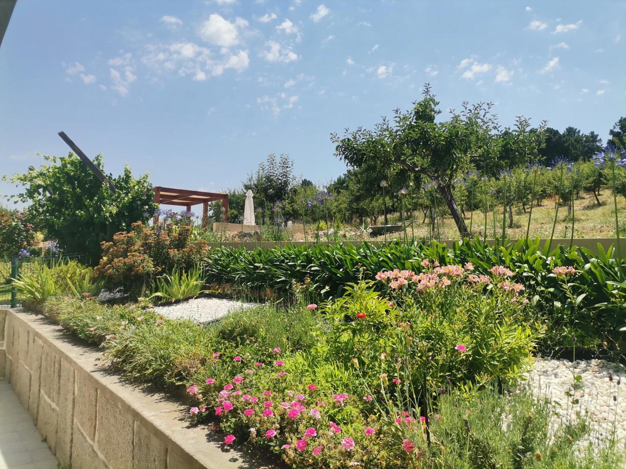 Quinta Do Retiro Pensionat Felgar Exteriör bild
